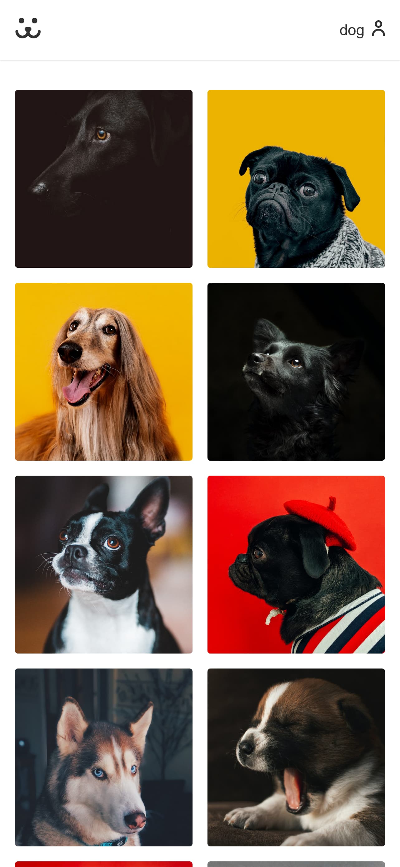 Projeto Dogs