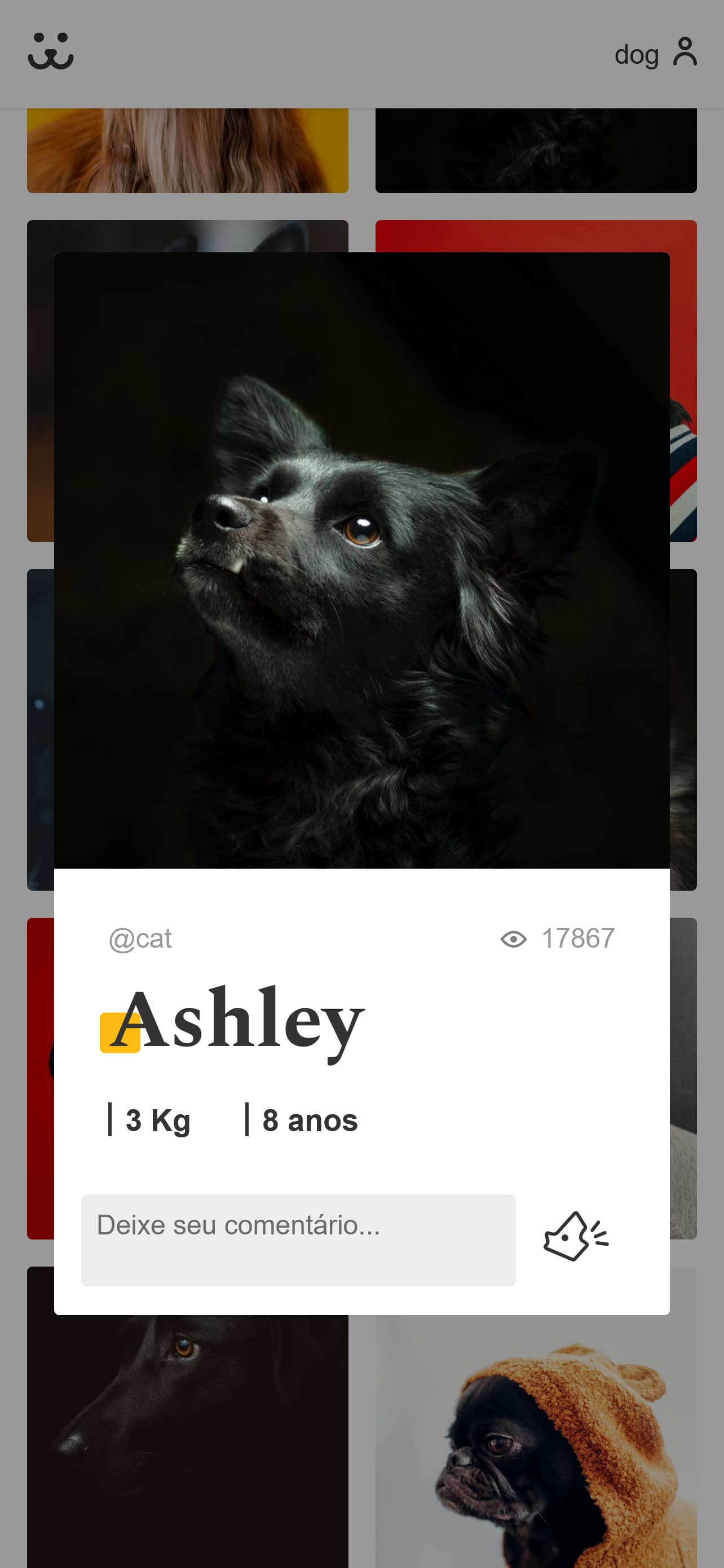 Projeto Dogs